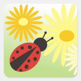 Adesivo Quadrado ladybird Sticker