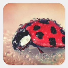 Adesivo Quadrado Ladybug