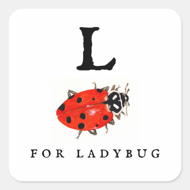 Adesivo Quadrado Ladybug (Frente)