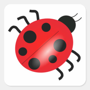 Adesivo Quadrado Ladybug - Ladybird