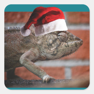 Adesivo Quadrado Lagarto de Natal