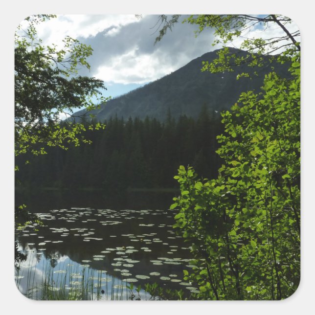 Adesivo Quadrado Lago Johns I no Parque Nacional Glacier (Frente)