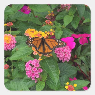 Adesivo Quadrado Lantana Floral Amarela Rosa Verde com Borboleta