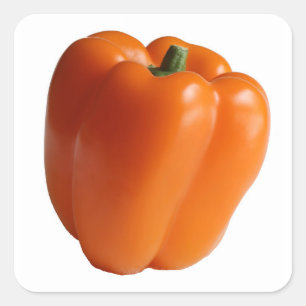 Adesivo Quadrado Laranja doce Pepper Sozinho no Sticker Quadrado