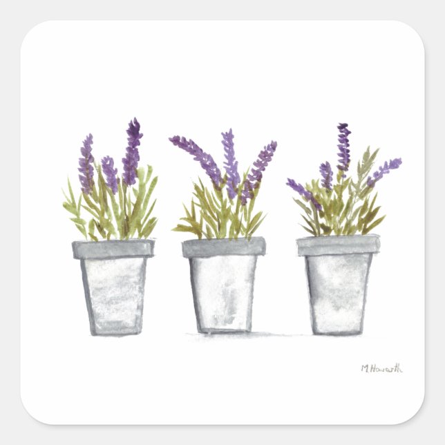 Adesivo Quadrado Lavanda herbácea pote aquarela planta natureza púr (Frente)