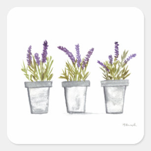 Adesivo Quadrado Lavanda herbácea pote aquarela planta natureza púr