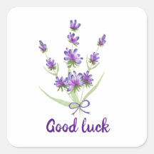 Lave delicada Mínima da Proveniência de Aquarela C