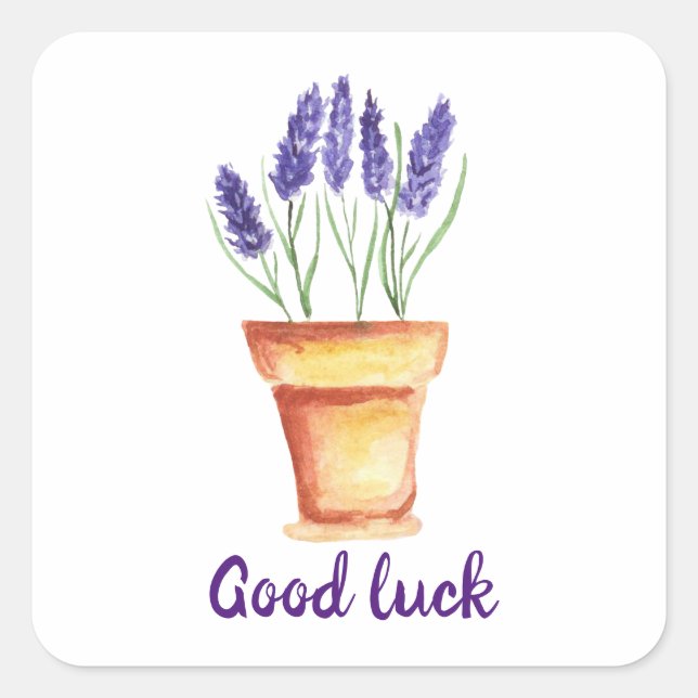 Adesivo Quadrado Lave delicada Mínima da Proveniência de Aquarela C (Frente)