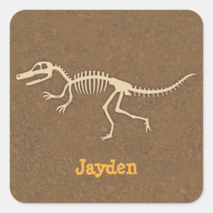 Adesivo Quadrado Legal Velociraptor Dinossaur Bones Personalizados