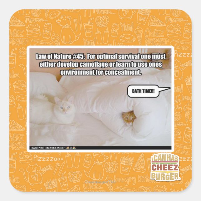 Adesivo Quadrado Lei da Natureza #45 (Frente)