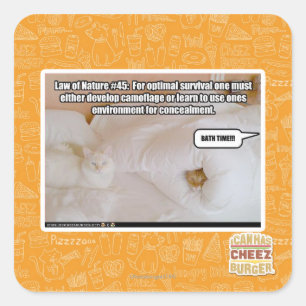 Adesivo Quadrado Lei da Natureza #45