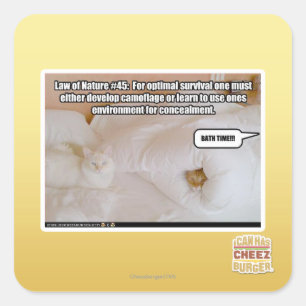 Adesivo Quadrado Lei da Natureza #45