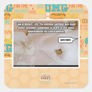 Adesivo Quadrado Lei de natureza #45