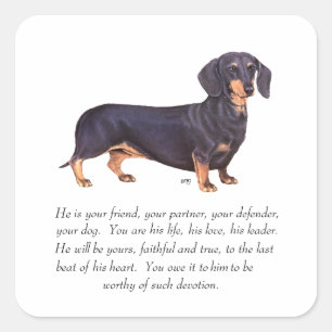 Adesivo Quadrado Lembrança de Dachshund - Macho
