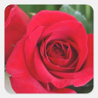 Adesivo Quadrado Lembre-se do amor