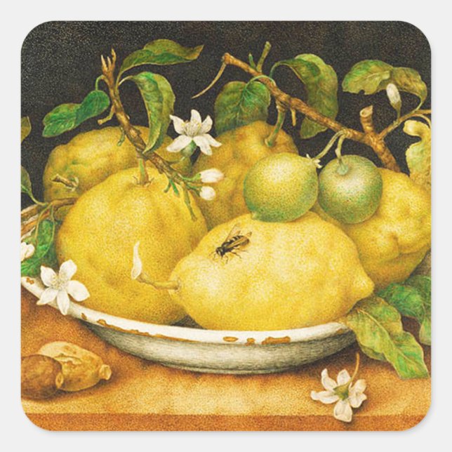 ADESIVO QUADRADO LEMÕES FRUTAS DA SEASON E FLORES BRANCOS (Frente)