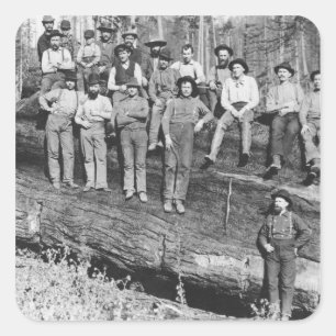 Adesivo Quadrado Lenhadores em Califórnia, 1891