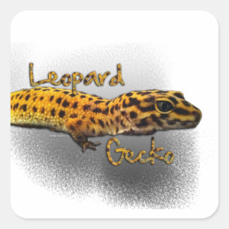 Adesivo Quadrado Leopard Gecko Sticker