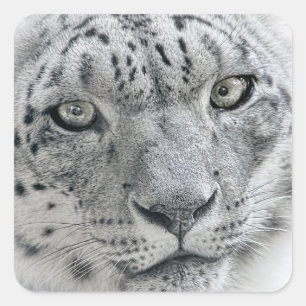 Adesivo Quadrado Leopardo branco exótico