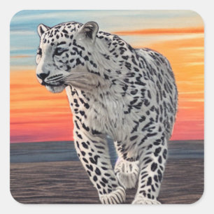 Adesivo Quadrado Leopardo-da-neve caminhando na praia durante um pô