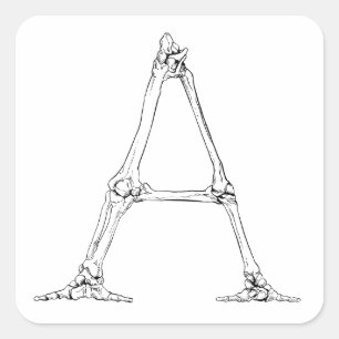 Adesivo Quadrado Letra Óssea - A