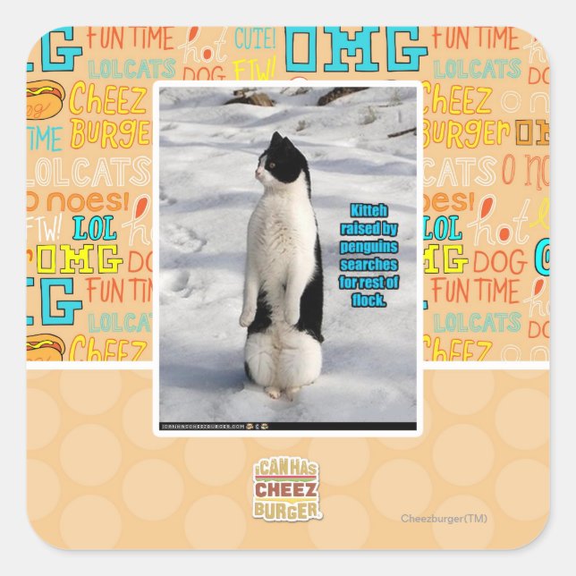 Adesivo Quadrado Levantados por Pinguins (Frente)