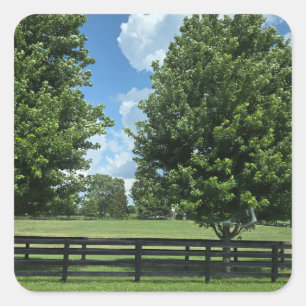 Adesivo Quadrado Lexington, Kentucky