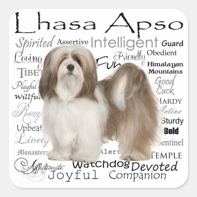 Adesivo Quadrado Lhasa Apso Stickers (Frente)