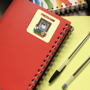 Adesivo Quadrado Liberdade Fuga Gato Engraçado Floral Amarelo Janel