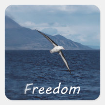 Liberdade para percorrer o oceano