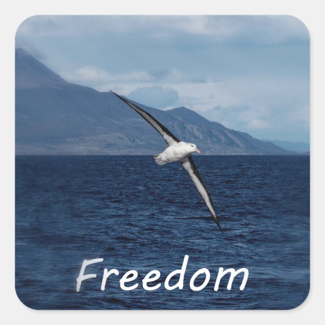 Adesivo Quadrado Liberdade para percorrer o oceano (Frente)