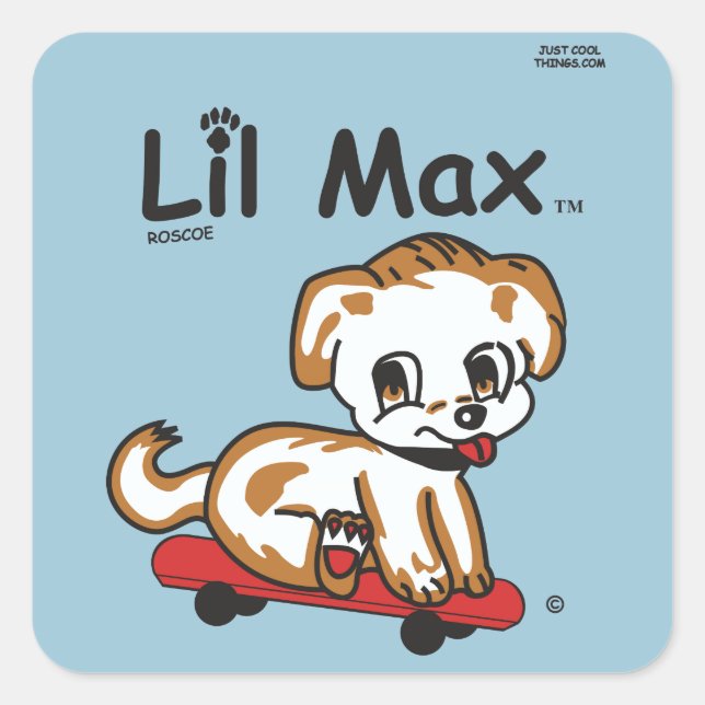Adesivo Quadrado Lil Max Sticker (Frente)