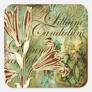 Adesivo Quadrado Lillium Candidum