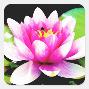 Adesivo Quadrado Lily de água rosa
