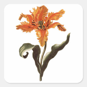 Adesivo Quadrado Lily Laranja-Rico Vintage em Sangue, Flores de Jar