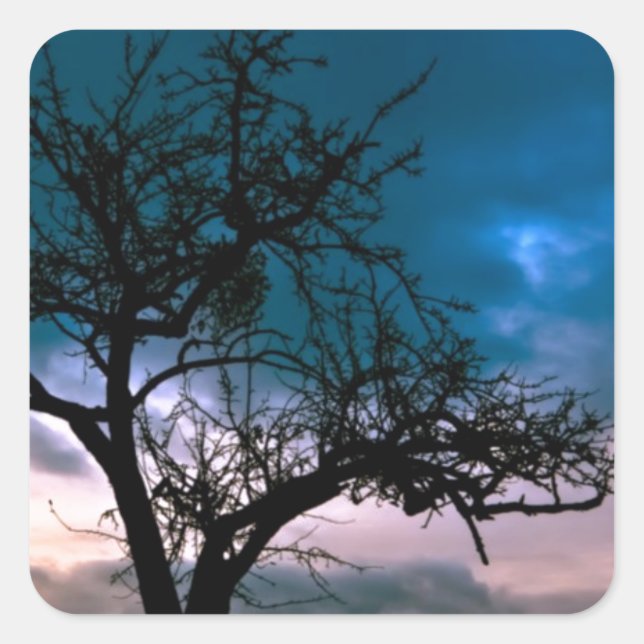 Adesivo Quadrado Linda paisagem cenística solar Arte fotográfica (Frente)