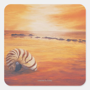 Adesivo Quadrado Lingering