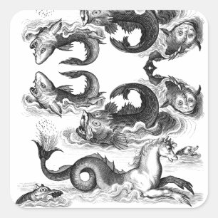 Adesivo Quadrado Linha Vintage Sea Desenho Peixe Cavalo Negro Branc