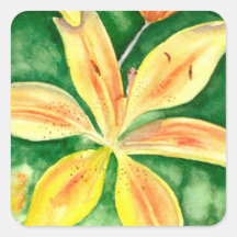 Lírios amarelos no jardim