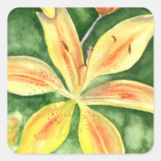 Adesivo Quadrado Lírios amarelos no jardim (Frente)