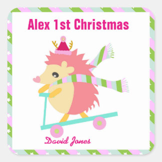 Adesivo Quadrado Little Christmas Hedhog