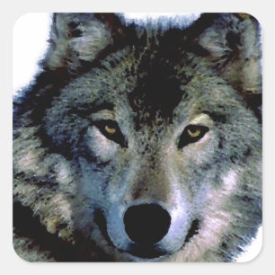 Adesivo Quadrado Lobo