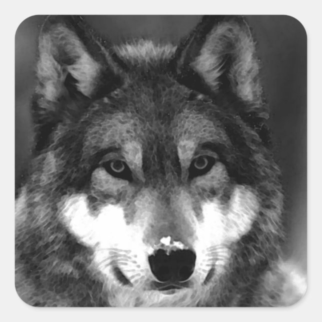 Adesivo Quadrado Lobo (Frente)