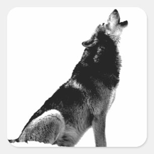 Adesivo Quadrado Lobo-de-Howling Branco-Preto