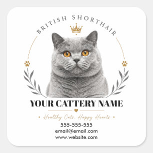Adesivo Quadrado Logotipo de Criadouro de British Shorthair Persona