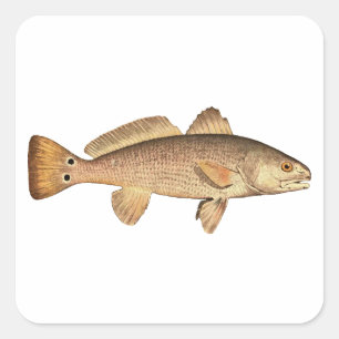 Adesivo Quadrado Logotipo dos salmonetess