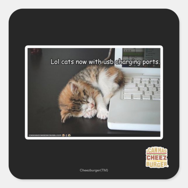 Adesivo Quadrado Lol cats com USB (Frente)