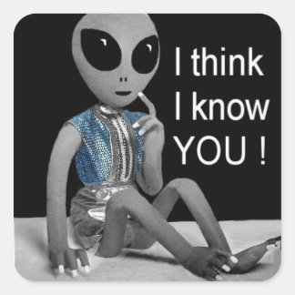 Adesivo Quadrado LOL - Por correio endereçado ou ao lado de uma ima