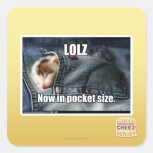 Adesivo Quadrado LOLZ agora no tamanho do bolso