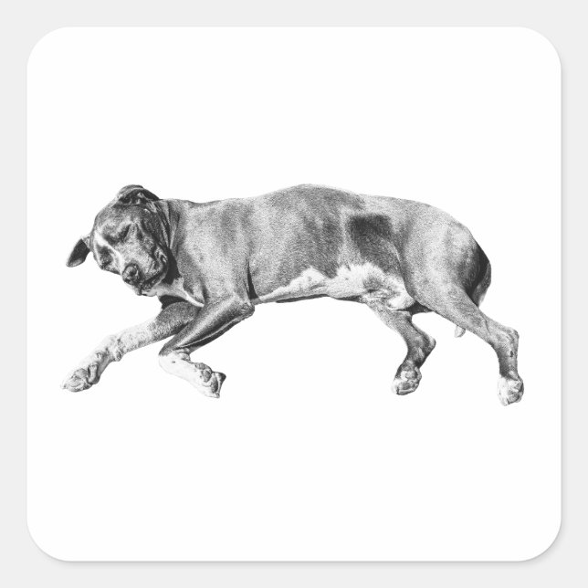 Adesivo Quadrado Long Nap Cutout, Yuletide Quiet (Frente)